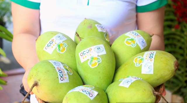 OCOP v&agrave; b&agrave;i to&aacute;n giữ chất lượng giữa l&agrave;n s&oacute;ng mở rộng. &nbsp;