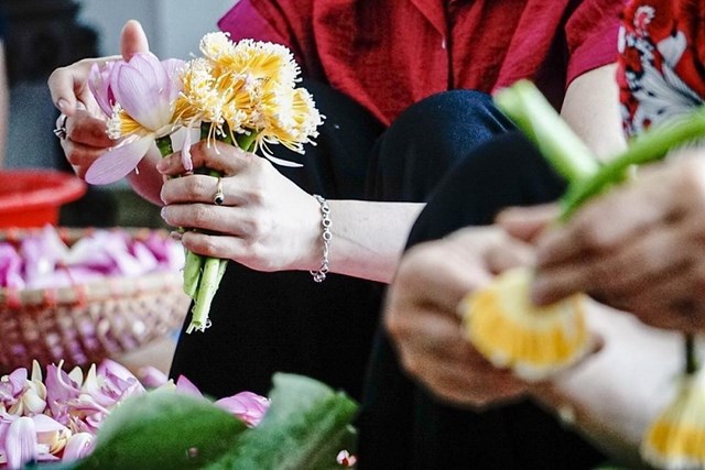 Số búp sen và cách ướp không chỉ định hình hương thơm mà còn quyết định chiều sâu hậu vị của trà. Ảnh minh họa