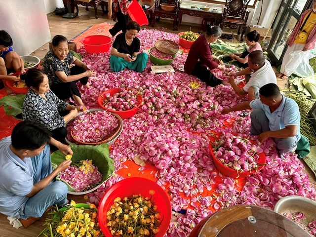 Số lượng búp sen trong mỗi ấm trà sen Tây Hồ chính là bí mật làm nên chiều sâu hương sắc đặc trưng, góp phần tạo nên đẳng cấp riêng biệt cho loại trà danh tiếng này. Ảnh minh họa