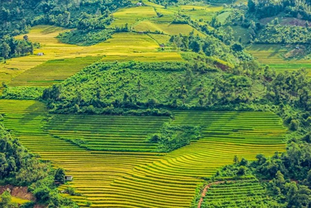 Khoảng tháng 9, tháng 10, Sa Pa sẽ hoàn toàn chuyển mình bước vào mùa lúa chín. Đây được xem là khoảng thời gian đẹp nhất trong năm tại nơi đây.