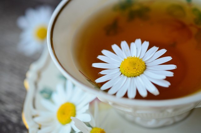 5 loại tr&#224; tốt cho người bị đau dạ d&#224;y n&#234;n c&#243; trong nh&#224; - Ảnh 2
