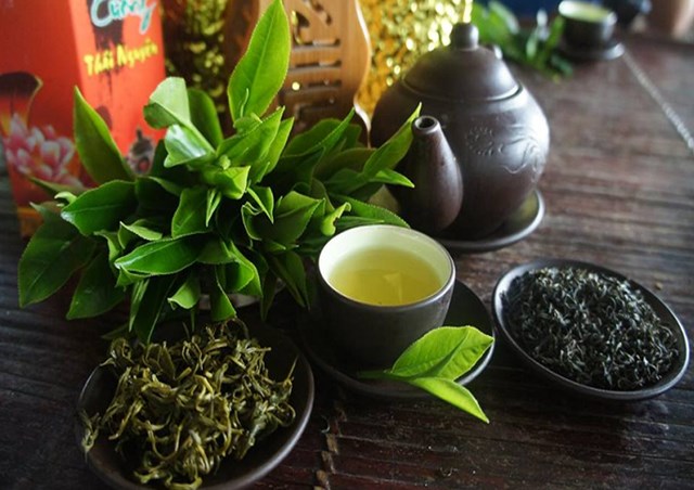 Mỗi m&ugrave;a, mỗi ch&eacute;n tr&agrave; như một l&aacute;t cắt của thời gian, lưu giữ hương v&agrave; sắc ri&ecirc;ng.