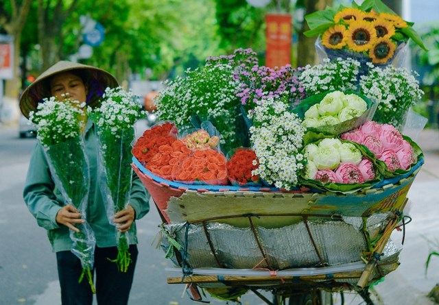 Mùa thu của những năm trước, trên khắp các con đường Hà Nội, những chiếc xe đạp chở đầy hoa theo từng dòng xe nhẹ nhàng xuống phố, điểm tô thêm vẻ đẹp quyến rũ cho thủ đô. Ảnh minh họa