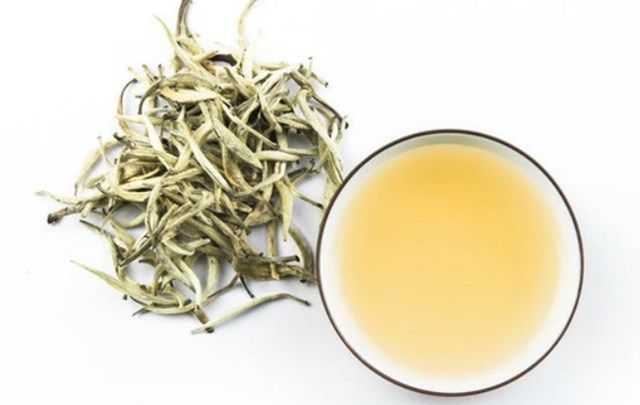 Bạch trà Shan tuyết Lào Cai với hương thơm tinh khiết, vị ngọt thanh và dược tính dồi dào, được tôn vinh như một kho báu sức khỏe quý giá mà thiên nhiên ban tặng.