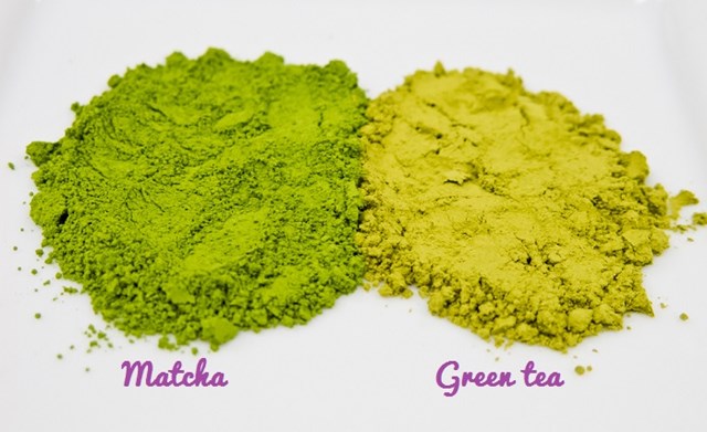 Sự khác biệt giữa bột matcha và bột trà xanh mà bạn nên biết