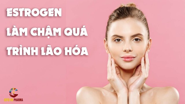 5 sự thật về Estrogen &#237;t ai biết đến - Ảnh 1