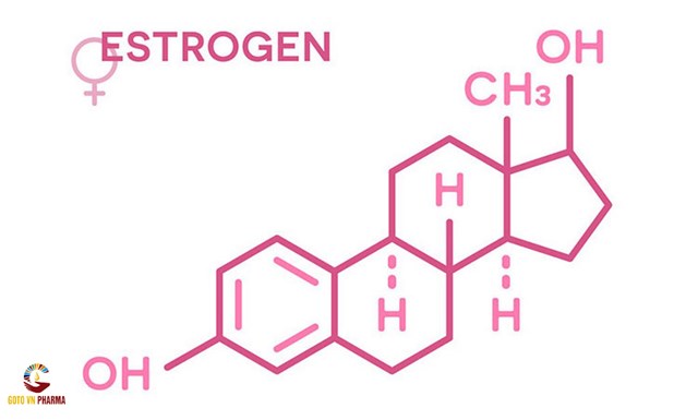 5 sự thật về Estrogen &#237;t ai biết đến - Ảnh 5