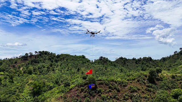 Từ v&ugrave;ng n&uacute;i cao hiểm trở của v&ugrave;ng Gi&agrave;ng Cao, những b&uacute;p tr&agrave; cổ thụ được drone vận chuyển về nh&agrave; m&aacute;y
