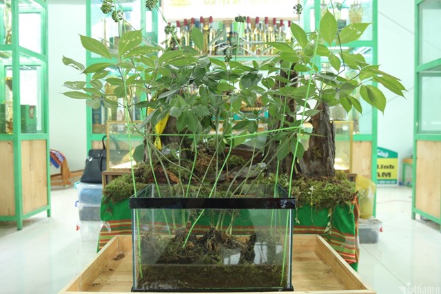 N&#244;ng sản Việt Nam: Gi&#225; trị cao, tiềm năng lớn - Ảnh 1