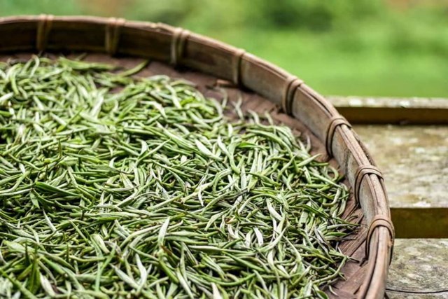 Đánh thức di sản chè Shan tuyết Lũng Cú  - Ảnh 2