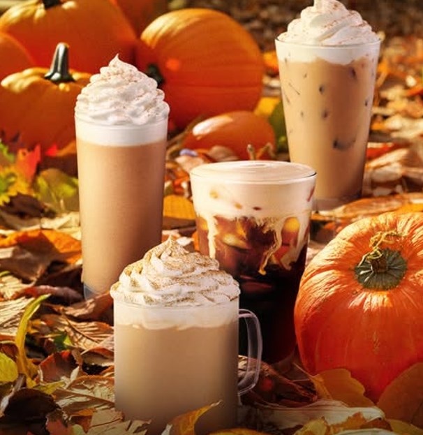 Pumpkin Spice không đơn thuần là một loại đồ uống. Từ hơn hai thập kỷ nay, nó đã trở thành “dấu hiệu nhận biết” mùa thu trong văn hóa ẩm thực toàn cầu.