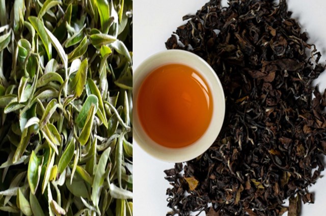 Đông phương mỹ nhân là dòng trà cao cấp, được bảo hộ chỉ dẫn địa lý, mở rộng cơ hội cạnh tranh trong nước và chinh phục thị trường quốc tế.