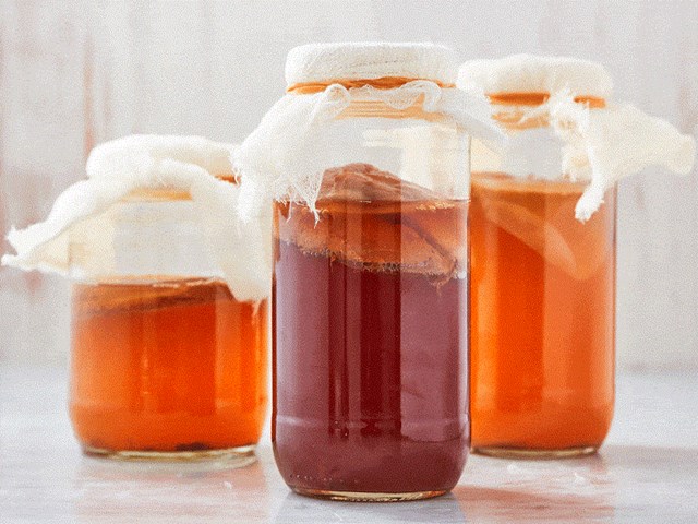 Kombucha c&oacute; t&ecirc;n gọi kh&aacute;c l&agrave; nấm thủy sinh, nấm trường sinh