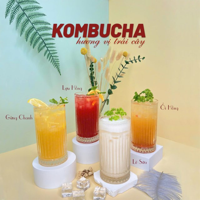 Tr&agrave; Kombucha tr&aacute;i c&acirc;y &nbsp;