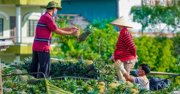 Festival N&ocirc;ng sản Việt Nam năm 2023: Giải ph&aacute;p n&acirc;ng tầm gi&aacute; trị h&agrave;ng n&ocirc;ng sản Việt Nam. &nbsp;