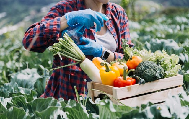 N&#244;ng sản Việt trước th&#225;ch thức hội nhập: L&#224;m sao để giữ vững thương hiệu? - Ảnh 1