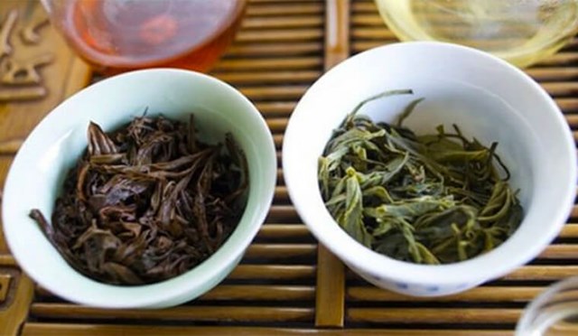 T&#225;i sinh b&#227; tr&#224; Shan Tuyết: B&#237; quyết l&#224;m đẹp bền vững v&#224; to&#224;n diện từ những g&#236; c&#242;n s&#243;t lại - Ảnh 2