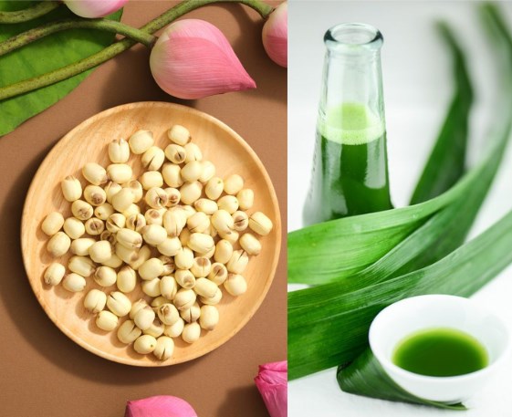 Tr&#224; sen l&#225; nếp: Hương xưa trong diện mạo mới - Ảnh 1