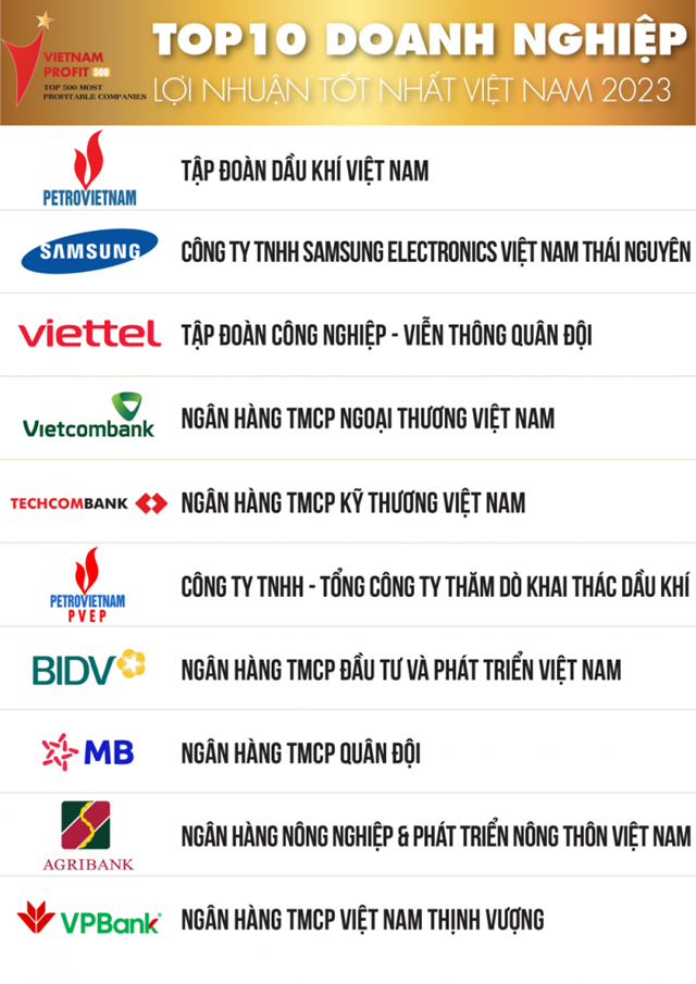  Top 10 doanh nghiệp lợi nhuận tốt nhất Việt Nam năm 2023 - Ảnh 1