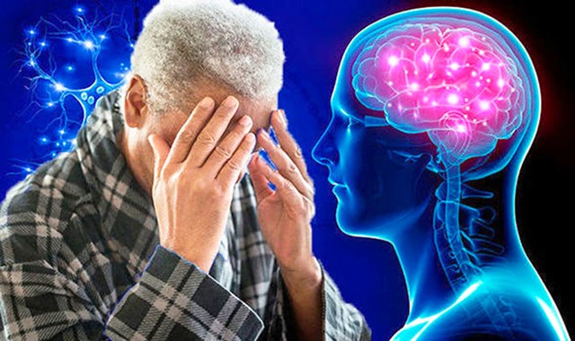 Gingkgo biloba c&oacute; thể l&agrave;m giảm&nbsp;c&aacute;c triệu chứng của việc suy giảm nhận thức nhẹ do bệnh &nbsp;Alzheimer. Ảnh minh họa (nguồn internet)