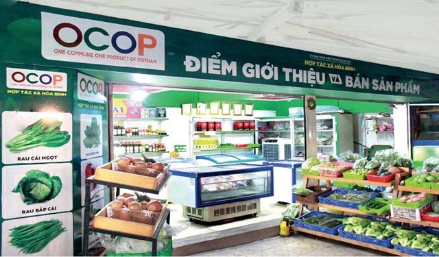 Chắp c&#225;nh khởi nghiệp n&#244;ng th&#244;n từ chương tr&#236;nh OCOP - Ảnh 1