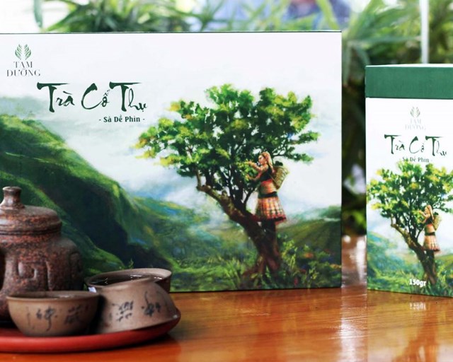 Đánh thức tiềm năng 8 ha chè cổ thụ Sà Dề Phìn trên rẻo cao Sìn Hồ - Ảnh 2