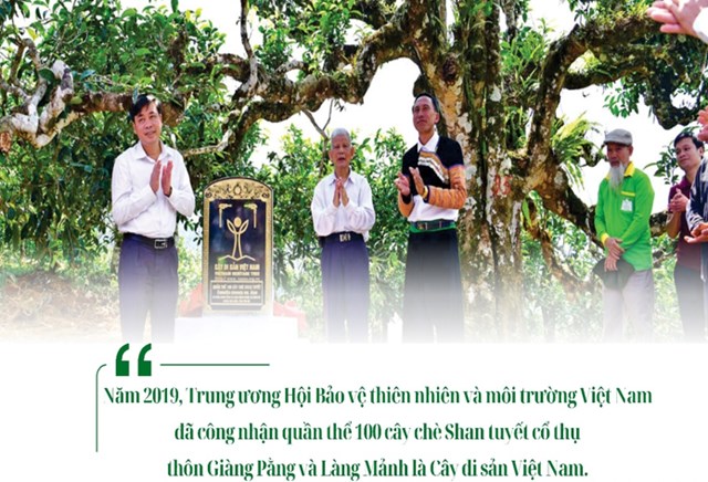 Ảnh nguồn internet