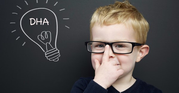 DHA v&agrave; sự ph&aacute;t triển của n&atilde;o bộ. Ảnh minh họa (nguồn Internet)
