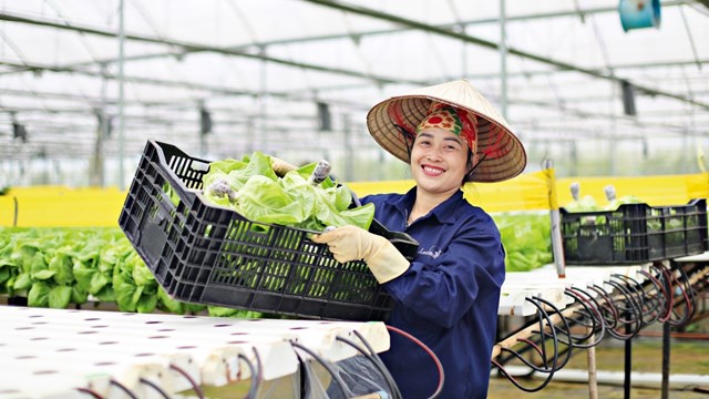Đ&aacute;nh thức tiềm năng kinh tế n&ocirc;ng th&ocirc;n trong thời kỳ hội nhập. &nbsp;