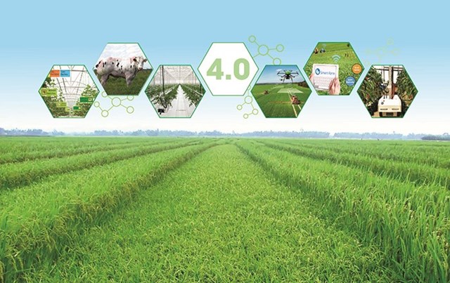 Đ&#225;nh thức tiềm năng kinh tế n&#244;ng th&#244;n trong thời kỳ hội nhập - Ảnh 1
