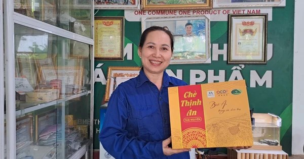 B&agrave; Vũ Thị Thanh Hảo, Gi&aacute;m đốc HTX ch&egrave; Thịnh An, cho biết: "Việc ph&aacute;t triển sản phẩm mới kh&ocirc;ng chỉ gi&uacute;p ch&uacute;ng t&ocirc;i đa dạng h&oacute;a danh mục sản phẩm m&agrave; c&ograve;n tối ưu h&oacute;a được nguồn nguy&ecirc;n liệu ch&egrave; trong qu&aacute; tr&igrave;nh sản xuất"