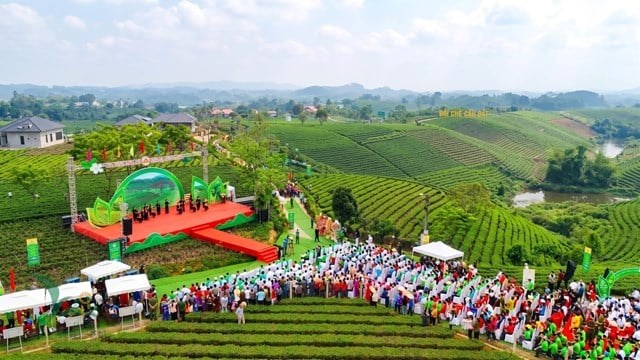 Festival Trà Quốc tế 2026: Đưa văn hóa trà thành đòn bẩy thương mại thực chất - Ảnh 2