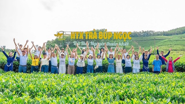 Đồi ch&egrave; HTX ch&egrave; B&uacute;p Ngọc (La Bằng) - một trong những địa điểm tổ chức Festival Tr&agrave; Quốc tế - Th&aacute;i Nguy&ecirc;n 2026. (Ảnh: Trang th&ocirc;ng tin điện tử UBND Tỉnh Th&aacute;i Nguy&ecirc;n).