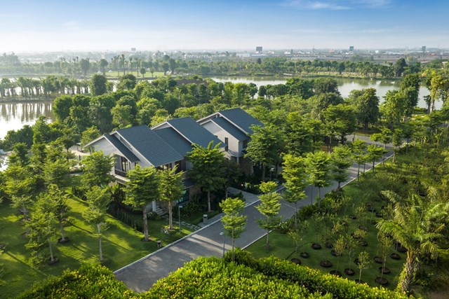 Những căn biệt thự n&eacute;p m&igrave;nh dưới t&aacute;n rừng tại Eco Retreat. &nbsp;