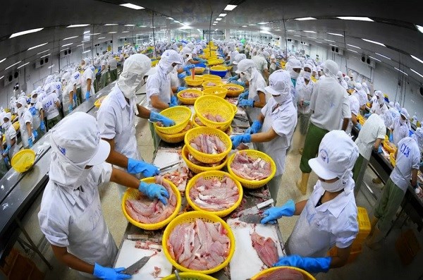 Ngành thủy sản Việt Nam được kỳ vọng sẽ tiếp tục đà tăng trưởng trong nửa cuối năm 2024. (Ảnh: VASEP)