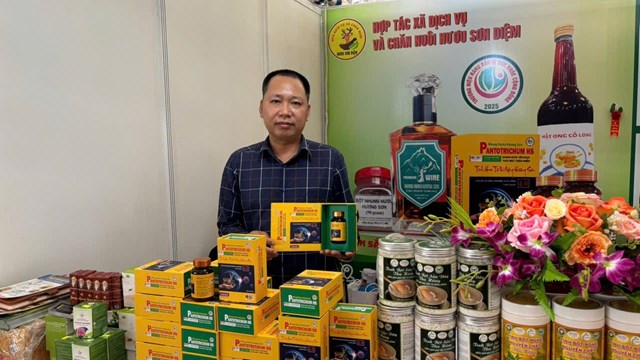 Gian h&agrave;ng trưng b&agrave;y của tỉnh H&agrave; Tĩnh tại Hội chợ triển l&atilde;m h&agrave;ng c&ocirc;ng nghiệp n&ocirc;ng th&ocirc;n năm 2025 (Ảnh: Xu&acirc;n Thanh)