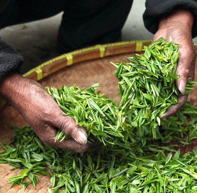 Không gian Tea Connect tại Tea Show 2026: Điểm hẹn kết nối chuỗi cung ứng cho trà Việt - Ảnh 2