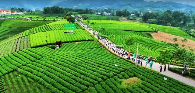 Đánh thức kinh tế nương đồi: 5 tuyến tour trải nghiệm định hình lại du lịch xứ trà Thái Nguyên - Ảnh 1