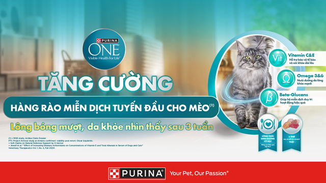 Các dấu hiệu đơn giản giúp đánh giá sức khỏe của mèo cưng - Ảnh 3