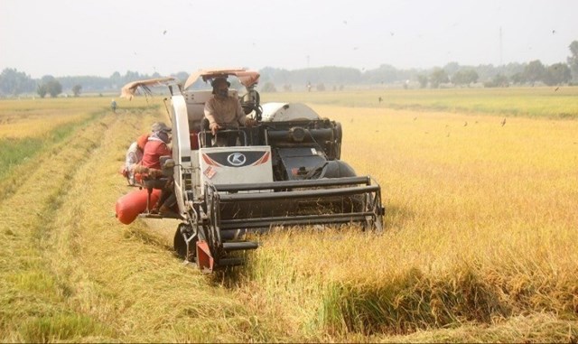 KTTH không chỉ là một xu hướng mà là một chiến lược sống còn cho nông sản Việt Nam. Ảnh minh họa