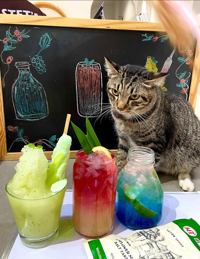 Bastet&rsquo;s Home Caf&eacute; kh&ocirc;ng đơn thuần l&agrave; nơi để thưởng thức những t&aacute;ch c&agrave; ph&ecirc; thơm nồng, đậm đ&agrave;, m&agrave; c&ograve;n l&agrave; chốn dừng ch&acirc;n l&yacute; tưởng cho những ai mong muốn t&igrave;m kiếm một liều &ldquo;an ủi&rdquo; tinh thần