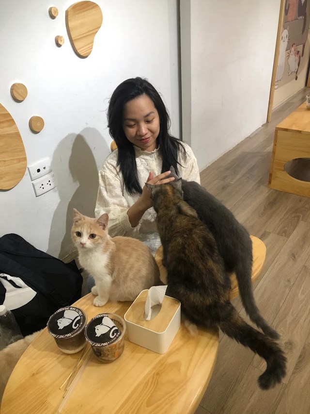 Bastet&rsquo;s Home Caf&eacute; mang đến kh&ocirc;ng gian nhỏ nhắn, ấm &aacute;p nhưng đầy sức sống, tạo cảm gi&aacute;c th&acirc;n mật như đang ngồi trong ph&ograve;ng kh&aacute;ch của người bạn y&ecirc;u m&egrave;o