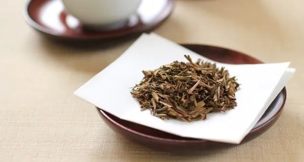 Houjicha: Trải nghiệm hương vị tinh tế cho thế hệ s&#224;nh tr&#224; mới - Ảnh 1