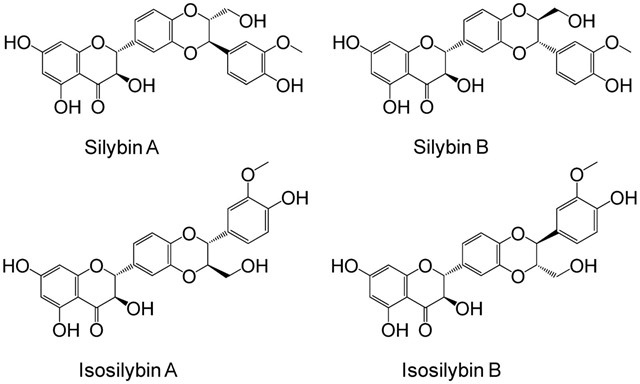 Th&agrave;nh phần hoạt chất Silymarin