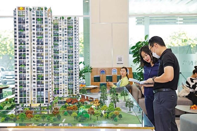 Thị trường nh&#224; ở Việt Nam: Cần c&#226;n bằng giữa đầu cơ v&#224; nhu cầu thực - Ảnh 1