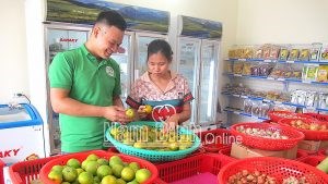 Ảnh minh họa (Nguồn: Nam Định Online)