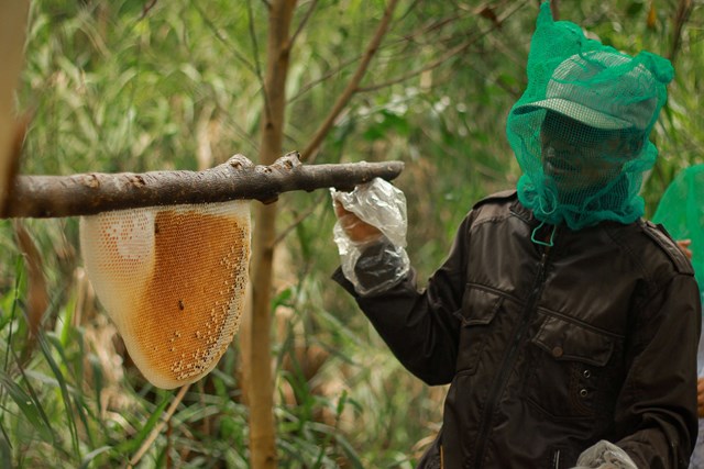 Kh&#225;m ph&#225; 32 di sản ẩm thực Việt Nam - Ảnh 3