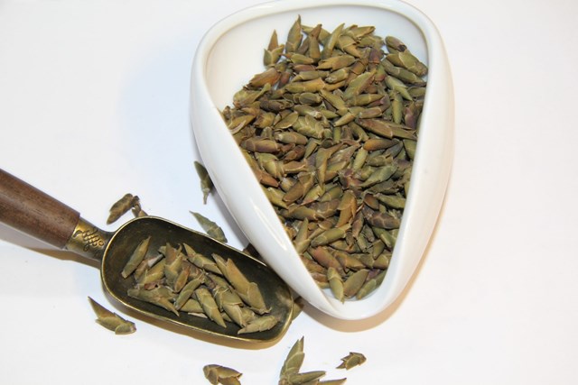 Trà đuôi rồng – Di sản trà cổ thụ giữa mây ngàn Tây Bắc - Ảnh 1