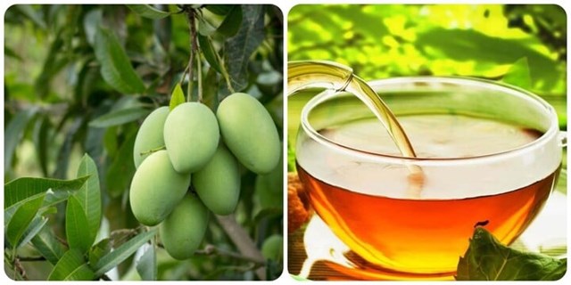 Tr&#224; l&#225; xo&#224;i: Thức uống d&#226;n d&#227; từ vườn nh&#224; với những lợi &#237;ch sức khỏe phi thường - Ảnh 1