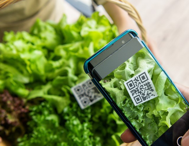 Blockchain, truy xuất nguồn gốc – ch&#236;a kh&#243;a minh bạch h&#243;a n&#244;ng sản Việt - Ảnh 1